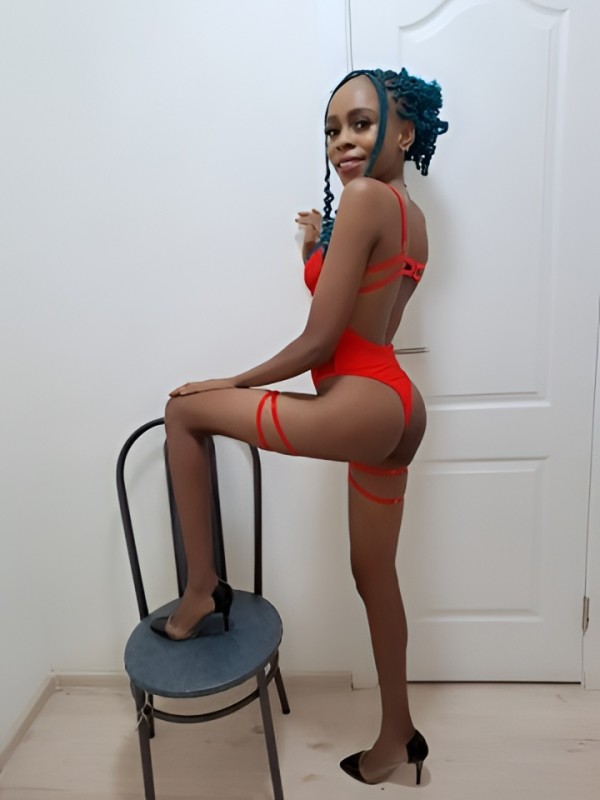 Роза из Ашитково